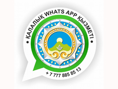 На городскую службу WhatsApp поступило 1607 сообщений