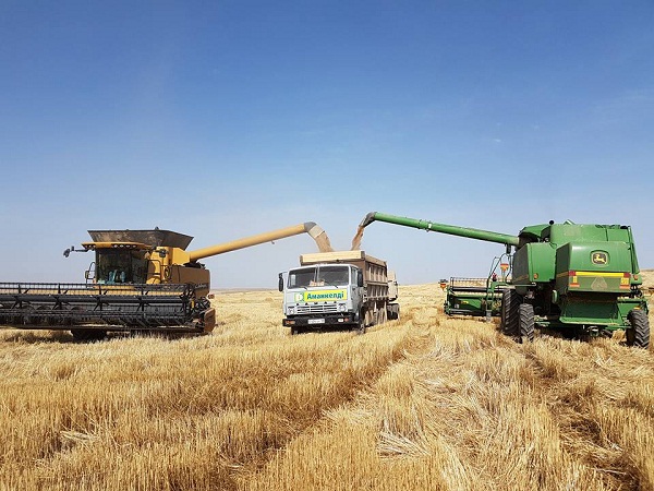 В Южно-Казахстанской области началась уборка зерновых