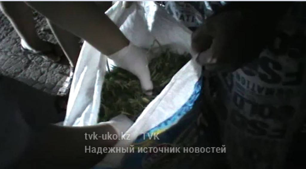 Мешок с марихуаной хранил житель Шымкента в своем доме