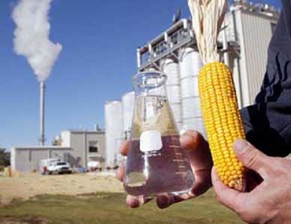 В Отрарском районе планируется производство биоэтанола