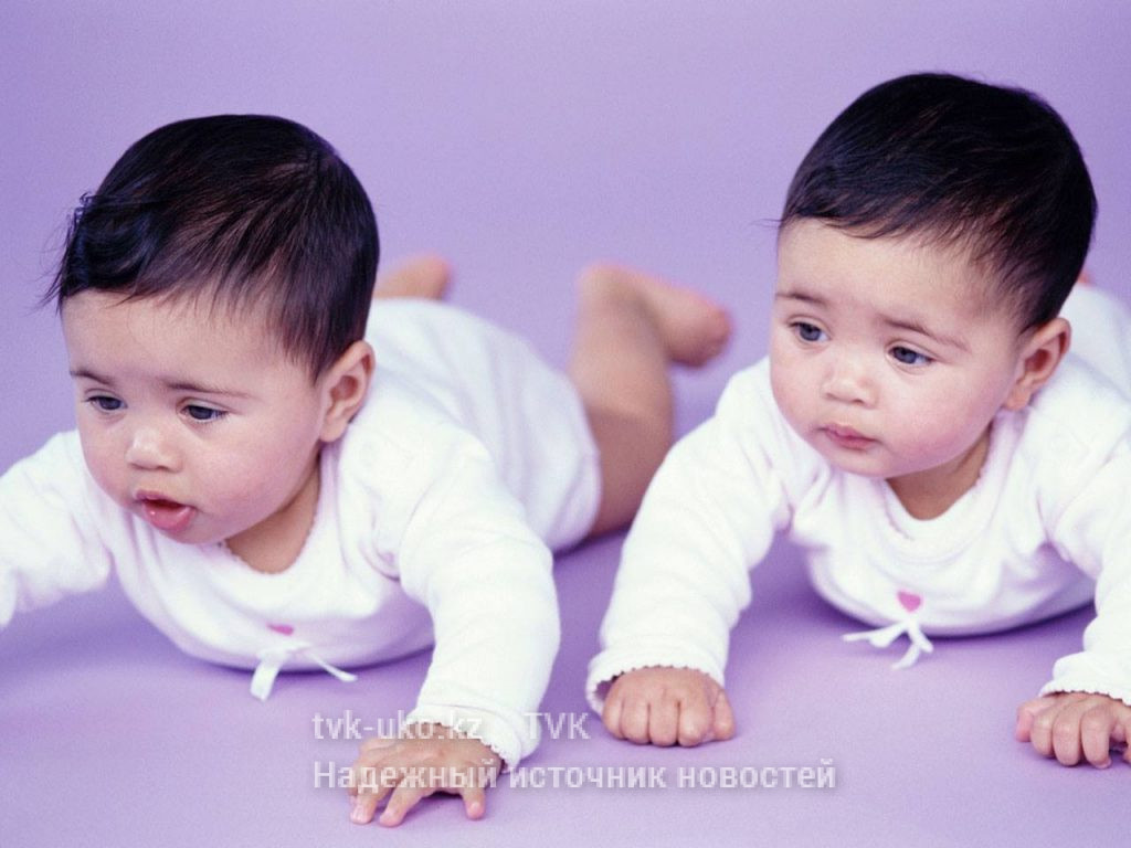 Больше 500 пар близнецов и 4 тройни родились в ЮКО за 8 месяцев