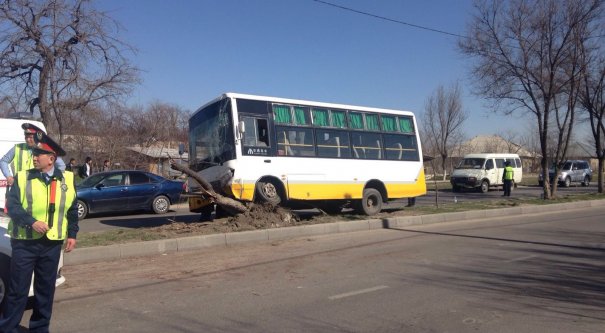 Автобус с 20 пассажирами врезался в дерево в Шымкенте