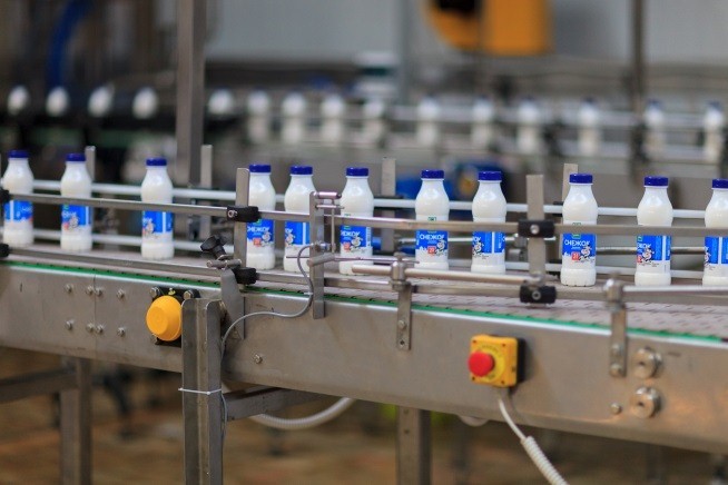В ЮКО планируется открыть завод по переработке верблюжьего молока