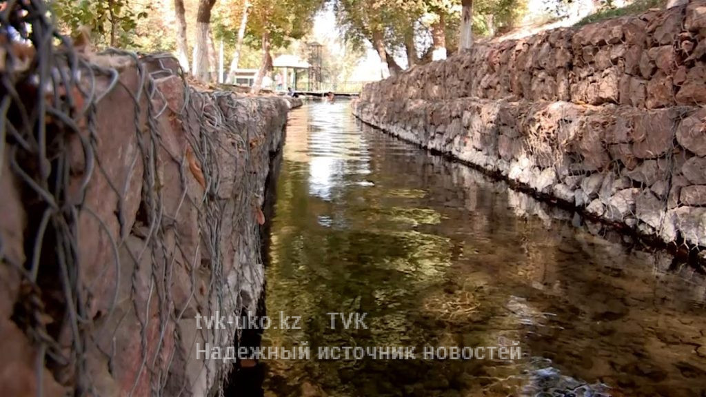 В Шымкенте иностранцев удивили купающиеся в реке люди