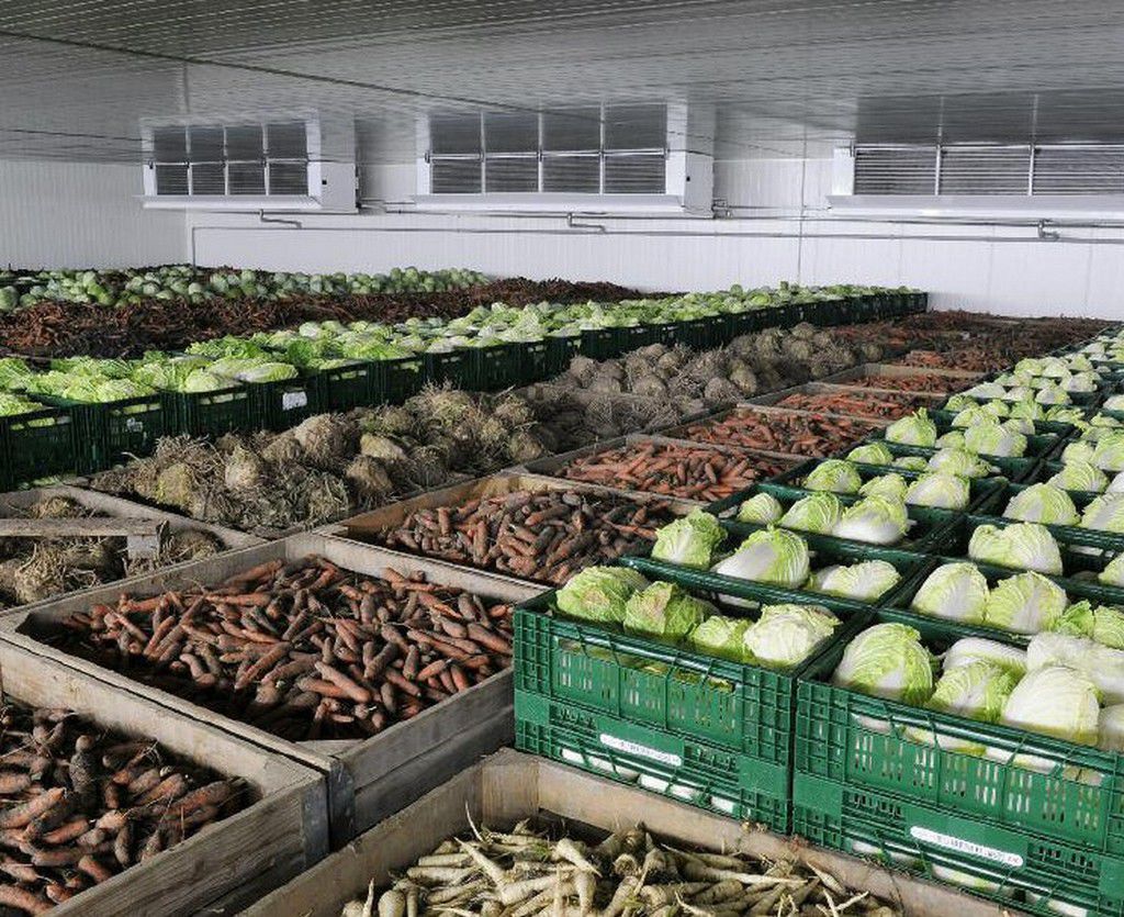 В ЮКО реализуют продовольственные товары стабилизационного фонда