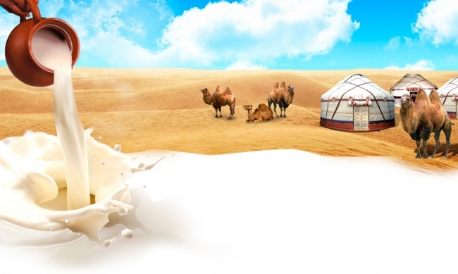 В Туркестане ведется строительство завода по выпуску верблюжьего молока