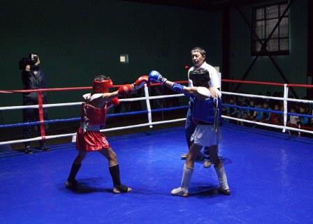 Соревнования по тайскому боксу впервые прошли в Шымкенте