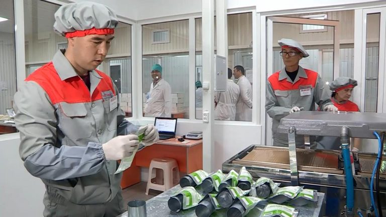 Завод по производству медицинских изделий запустили в ЮКО