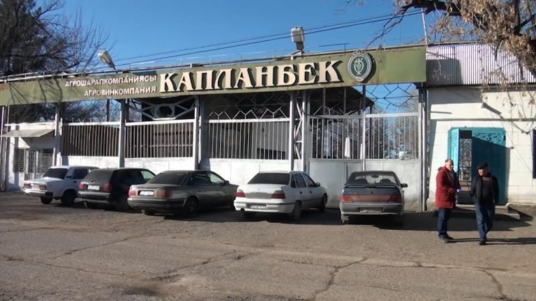 В Сарыагашском районе угасает знаменитый Капланбекский винный завод