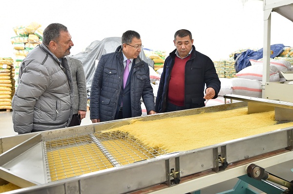 Экспортируется 60 процентов продукции южноказахстанской компании «Алтын дән»