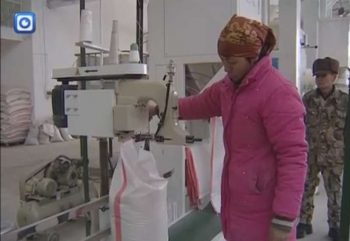 Российские инвесторы планируют развивать рисовое хозяйство в ЮКО