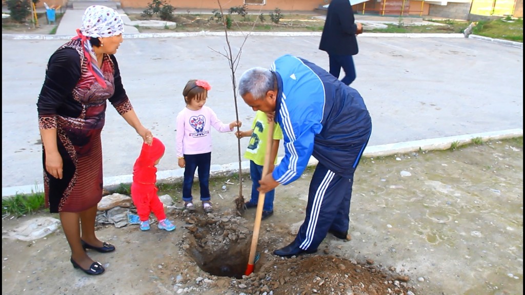 600 фруктовых деревьев посажены в рамках акции «Шымкент — город-сад».
