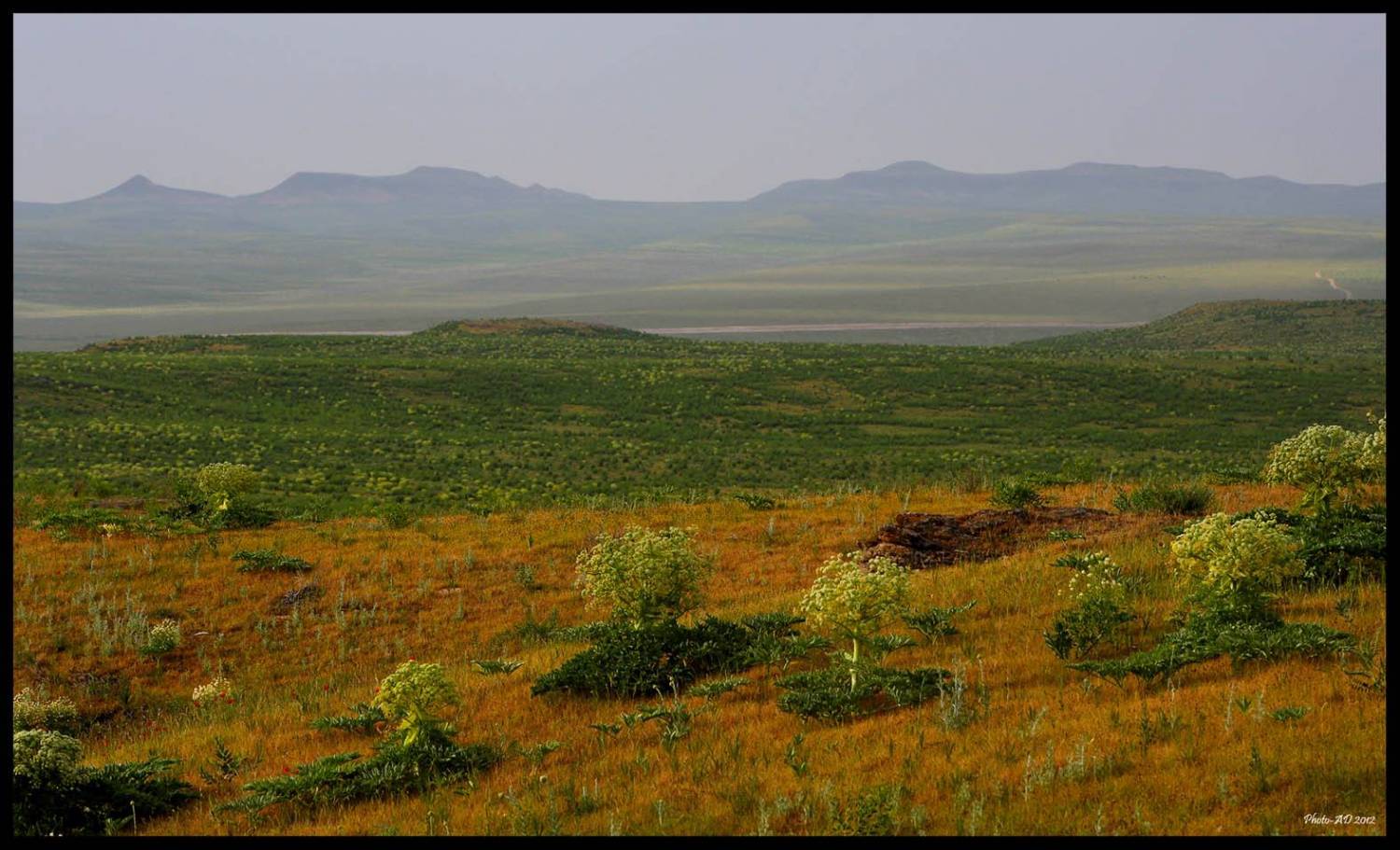 Пейзажи Южного Казахстана (Любительский фоторепортаж)