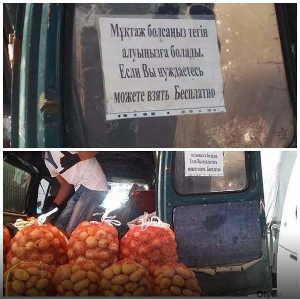 В Туркестане, бесплатно раздают продукты