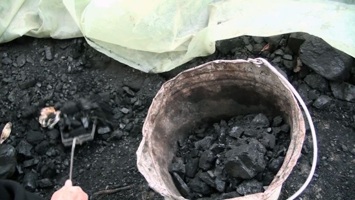 В ЮКО общественный фонд «Шугыла» раздал нуждающимся по 2 тонны угля