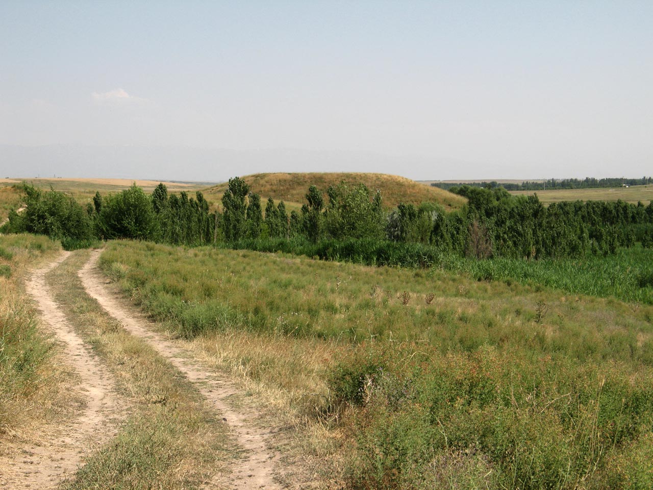 Городище Торткультобе