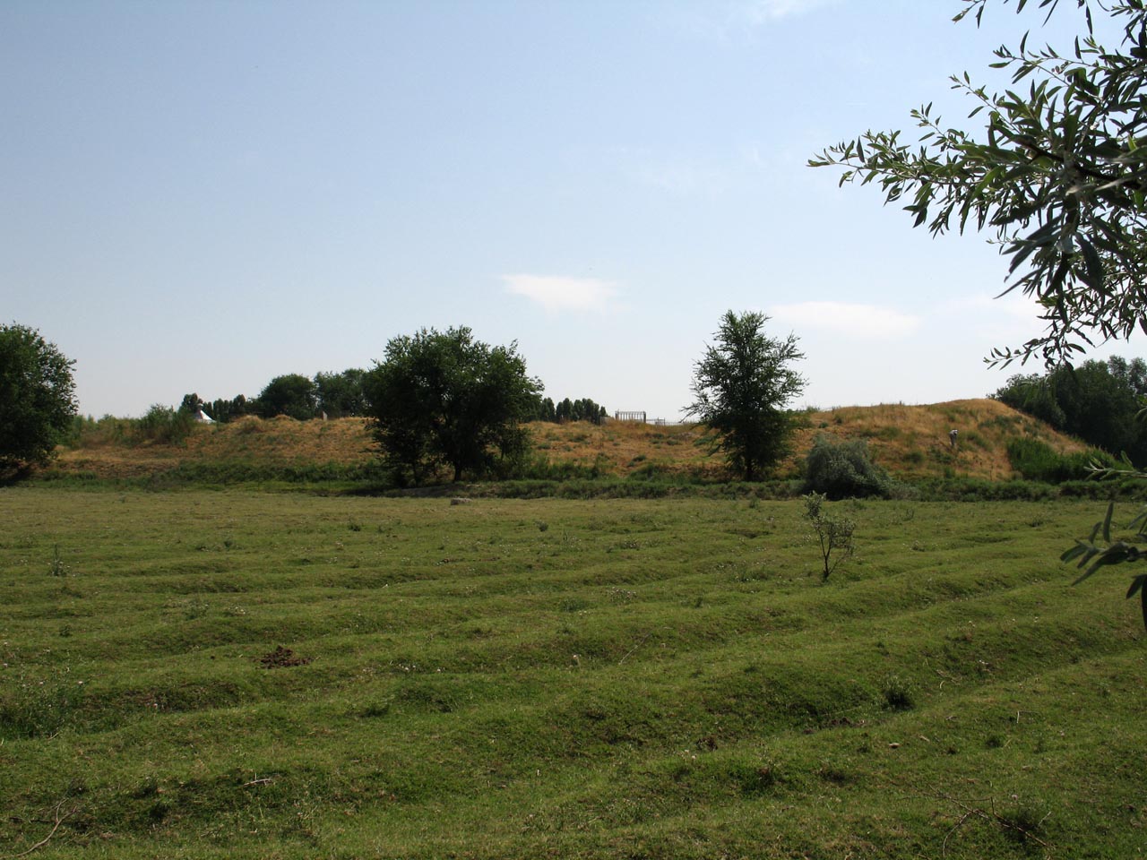 Городище Жартытобе