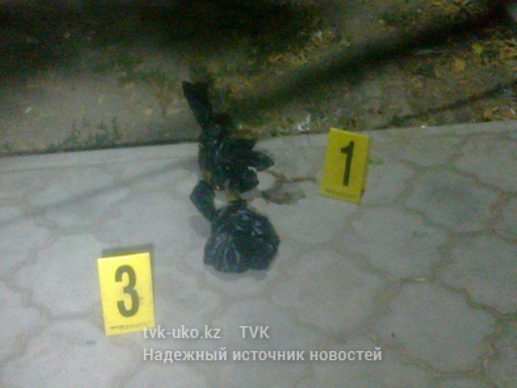 Человеческий плод нашли в канализации в Шымкенте