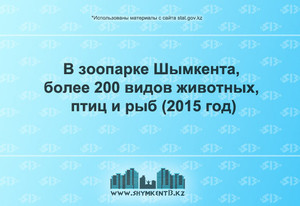 Количество животных в зоопарке Шымкента